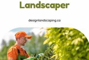 Design Landscaping