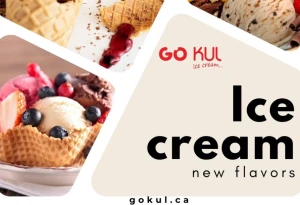 Go Kul Ice Cream
