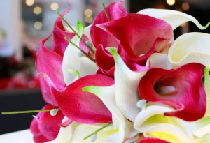 Stavebank Florist