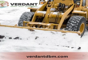 Verdant DBM Inc
