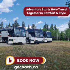 Why Group Travel Feels Easier When Everyone Travels Together
