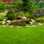 Year-Round Lawn Care